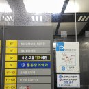 율하부부치과의원 | 전주 임산부 치과 온고을치과 신경치료 후기(치과치료 임산부 할인코드)