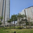 배방우방아이유쉘2차아파트 203동 옆 도로 | 아산 배방역 앞 우방아이유쉘 2차 홍보관 임대 3년 차 분양전환 아파트 매매 정보