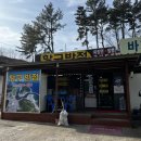 항구반점 | 영덕 강구 | 항구반점 | 노포 중식 맛집 | 내돈내산 솔직후기