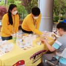 카카오게임랜드 이미지