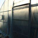 늘푸른농장(2) 이미지