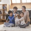 아이사랑동물약국 이미지