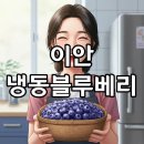 이안상사 이미지