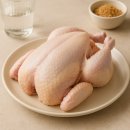 신선6호 | 마니커 영계 6호 솔직후기