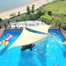 서포비치 이미지