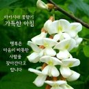 여유와 넉넉함 좋은글 이미지