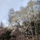 영규농장 이미지