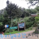 도계동 정류소앞 이미지