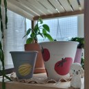 (유)우주산업 | 10월의 어느 멋진 날에