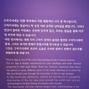 석장리박물관(통신사 설치)2 | [공주시] &lt;석장리박물관&gt;을 다녀와서(구석기 특별전, 주차, 관람동선) 2024.12.10