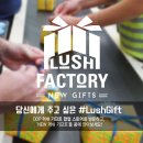 러쉬디자인 이미지