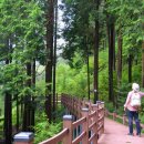 타임9002 이미지