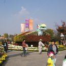 국화축제장 입구 이미지