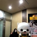 거일신발 이미지
