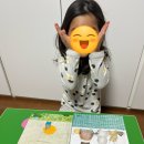 숲속에는 이미지