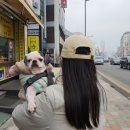 코코미용 네이버블로그