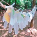 한울숲유치원 이미지