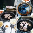 신매뒷고기촌 Daum카페