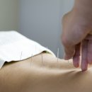 보듬한의원 이미지