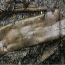 부여(사비)-16 이미지