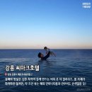 국내여행 중 사계절 온수 풀 국내 호텔 7선 이미지