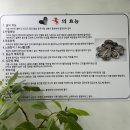 비산체육공원 | 안양 비산 굴 맛집 ㅣ'서천 굴 칼국수' 굴 국밥, 굴 칼국수 솔직후기