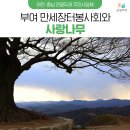 임천시장 공영 주차장 이미지