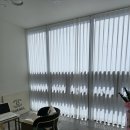 더 데일리 왁싱
