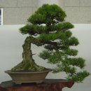 지지명품 이미지