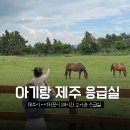 제주여행 중 돌발진 응급실 및 달빛어린이병원 소아과 리스트