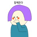 청해막썰어회 이미지