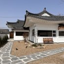 배동스테이 이미지