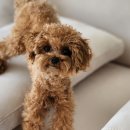 지킴메디 이미지