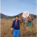 하나로마트(새통영농협) 이미지