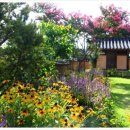 비밀정원 이미지