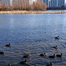 천천 공인중개사사무소 이미지