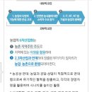 마캐는 젊은 농부들 우엉차/6차산업
