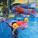 그린오토카 이미지