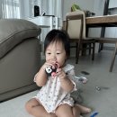 촉촉이네 | 사진일상기록 -; 250922 - 0928 (촉촉이의 300일/남편의 생일)