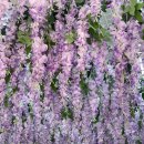 광주광역시 시립수목원 B동 | [전남 광주] 광주 시립 수목원 아이와 주말 다녀온 후기