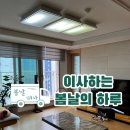 봄날같은하루 이미지