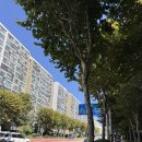 광야축산 | 연's 일상블로그 | 요리조리 돌아다닌 9월 2-3주 이야기❣️