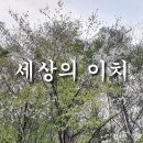 세상의이치