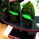 돌고래회수산 이미지