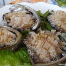 땅끝풍경 이미지