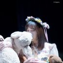 토슈