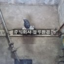 주식회사 비트블루