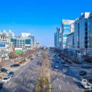 양재대로 이미지