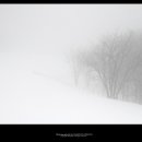 세상목장 이미지