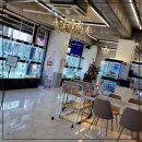 로얄펫 강아지분양 고양이분양 전주본점 이미지